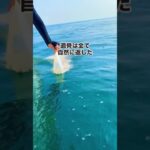 ひとり娘の墓じまい　父の建てた墓を自然に還した　大分で海洋散骨