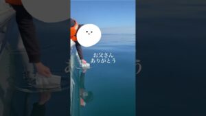 お父さんありがとう　また会いに来るね　大分で海洋散骨