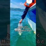 母を見送る　大分海洋散骨