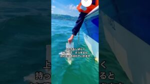 母を見送る　大分海洋散骨