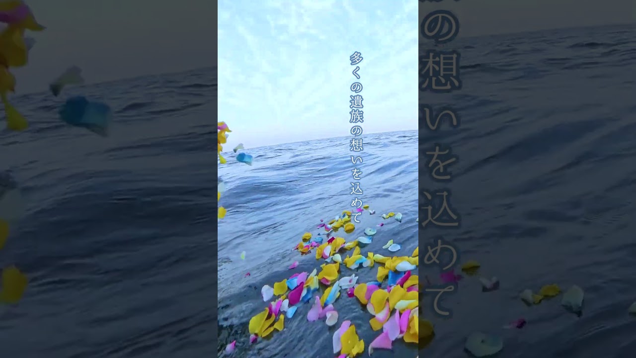 海洋散骨・東京湾 - 2024年12月4日に実施された散骨の様子。#散骨 #まごころ粉骨 #まごころ散骨 #海洋散骨