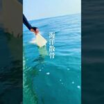 墓じまい海洋散骨　大分市