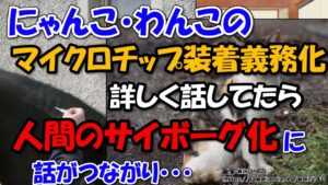 猫・犬のマイクロチップ埋め込み義務化から人間のサイボーグ化まで【ゆっくり解説SF】