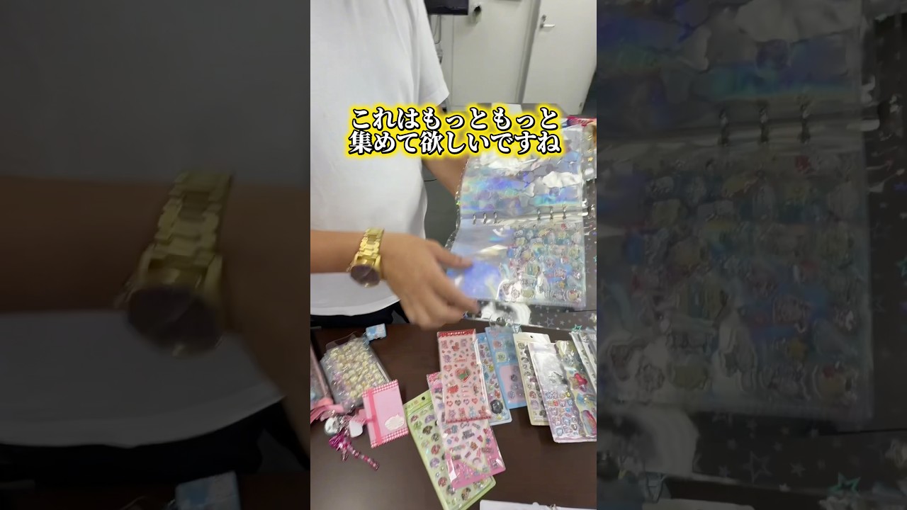 【シール帳】ガチ勢がシール会社の人にシール帳をみてもらった結果【カミオジャパン】