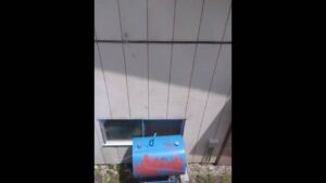 隣がうるさい