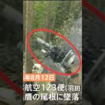 写ってはいけないものが写ってしまう【日航機墜落事故現場】御巣鷹山  #123便 #日航機墜落事故 #怖い話 #aviation #crash #viral #shorts
