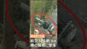 写ってはいけないものが写ってしまう【日航機墜落事故現場】御巣鷹山  #123便 #日航機墜落事故 #怖い話 #aviation #crash #viral #shorts