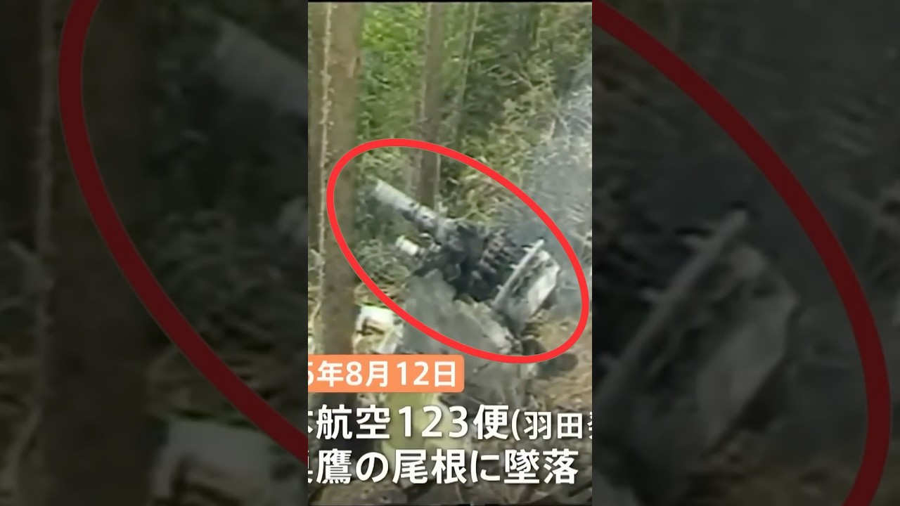 写ってはいけないものが写ってしまう【日航機墜落事故現場】御巣鷹山  #123便 #日航機墜落事故 #怖い話 #aviation #crash #viral #shorts