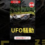 "UFO墜落"で騒然！インドネシア農園に直径4mの円盤 正体は中国ロケット｜日本速報