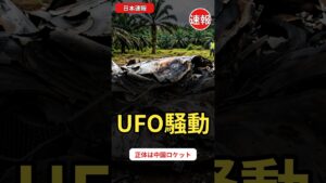 "UFO墜落"で騒然！インドネシア農園に直径4mの円盤 正体は中国ロケット｜日本速報