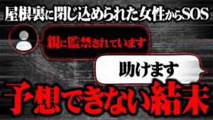 【何かおかしい】実の母親に閉じ込められてしまった女性からSOSが届く...コレコレが向かう準備をしていると衝撃の事実が...【切り抜き】