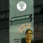 Why is the Rain Tree called a Rain Tree? #shortsvideo