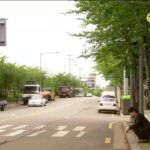 [SBS] 추적자 THE CHASER (Trailer)