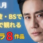 【地上波・BS無料視聴】11月の韓ドラ８作品をご紹介します。