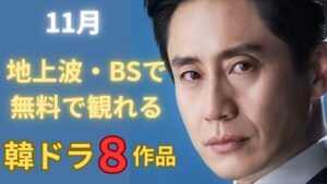 【地上波・BS無料視聴】11月の韓ドラ８作品をご紹介します。