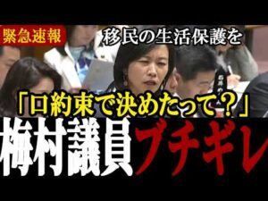 【徹底解説】知っておくべき移民政策の致命的矛盾と議場が凍り付いた瞬間【国会中継】