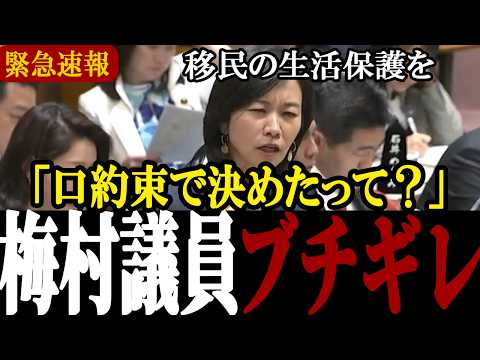 【徹底解説】知っておくべき移民政策の致命的矛盾と議場が凍り付いた瞬間【国会中継】